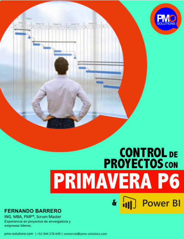 Control de Proyectos con Primavera P6
